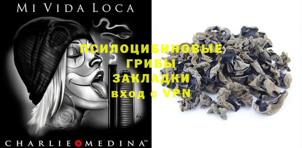 гашик Пенза