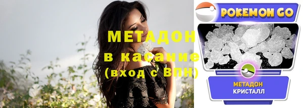прущие грибы Балашиха