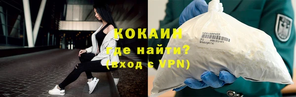 прущие грибы Балашиха