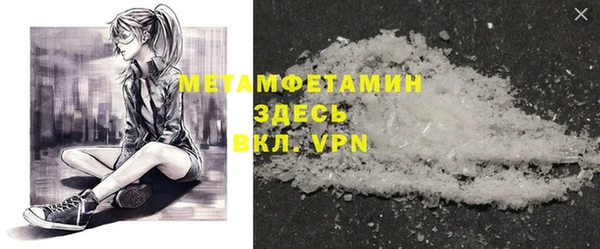 прущие грибы Балашиха