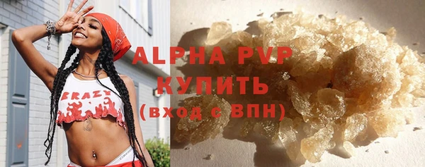 прущие грибы Балашиха