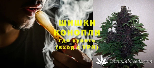 прущие грибы Балашиха