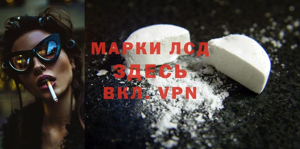 прущие грибы Балашиха