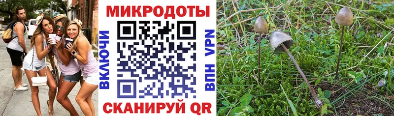 Галлюциногенные грибы GOLDEN TEACHER  Белебей 