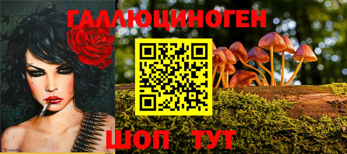 Галлюциногенные грибы Psilocybine cubensis Белебей